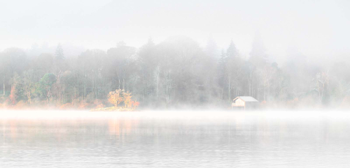 Catch-Light by Fred Bell