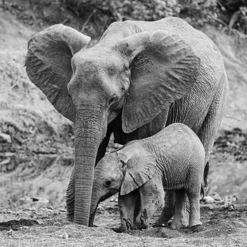 Sharing by Keith Snell