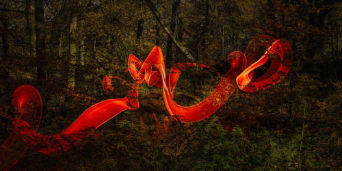 Fairy-lights by Ade Gidney