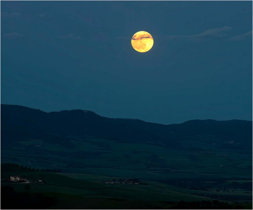 Full-moon-and-singing-Nightingales-Tuscany by Carol Minks