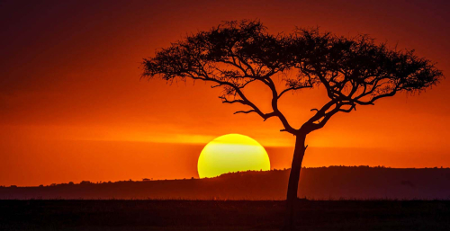 Sunset on the Mara by Mike Kidd
