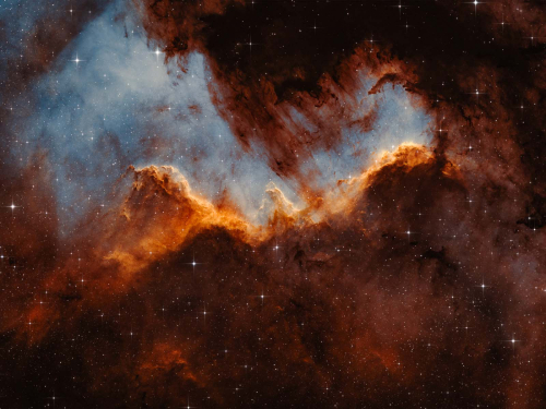 The-Cygnus-Wall by Richard Jakobson
