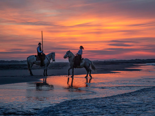 Riders-at-Dawn by Julie Walker