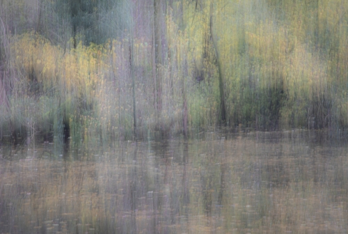 My-Monet by Marilyn Woodthorpe