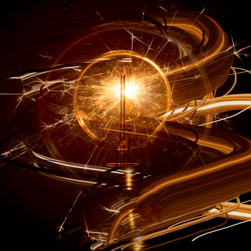 Crazy-Light by Ann Healey