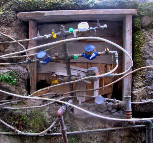 Creative piping by Phillip Cartwright