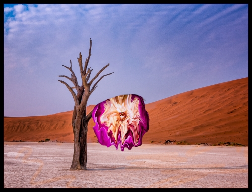 Salvador-Peony by Richard Jakobson