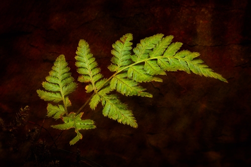 Creative-3 by Ade Gidney
