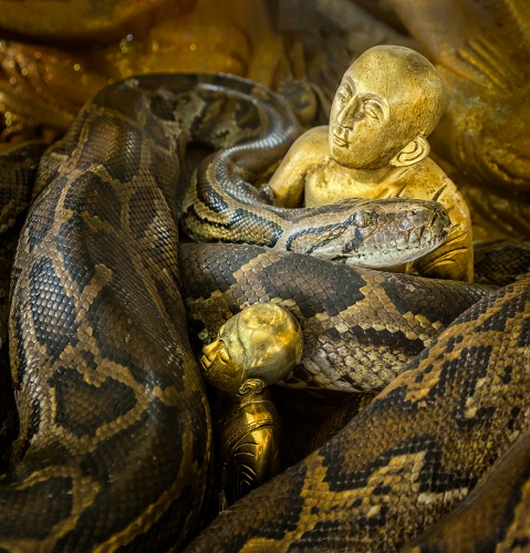 The-Guardian-of-the-Gold by Alan Walker