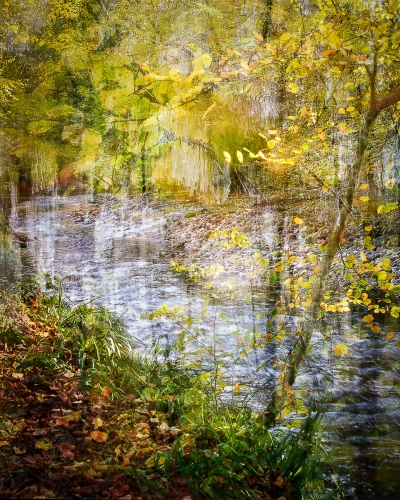 Golden-River by Ann Healey