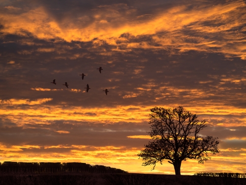 Golden Hour by Jo Knight