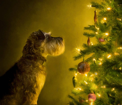 All that Glitters by Jo Knight