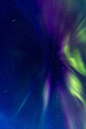 Straight Up by David Leighton