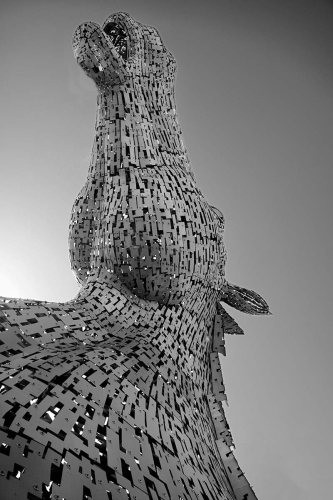 Heads-Up by Marilyn Woodthorpe