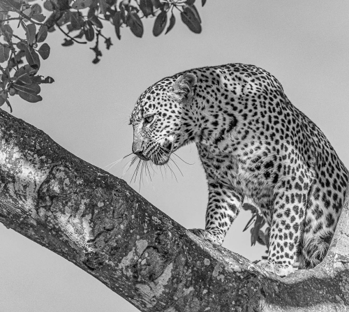 Im-looking-up.-Shes-looking-down by Mike Kidd