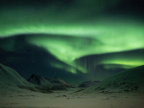 Lofoten-Aurora by Julie Walker