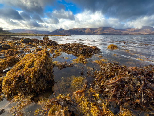 Loch-Linnhe-Shoreline by Jeremy Malley-Smith