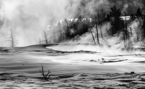 Bob Given: Yellowstone