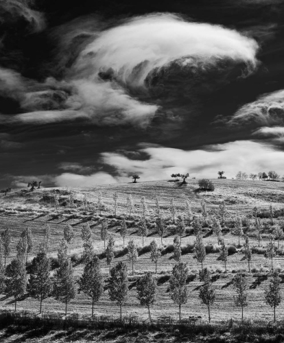 Richard Jakobson: Marching-Up-The-Hill