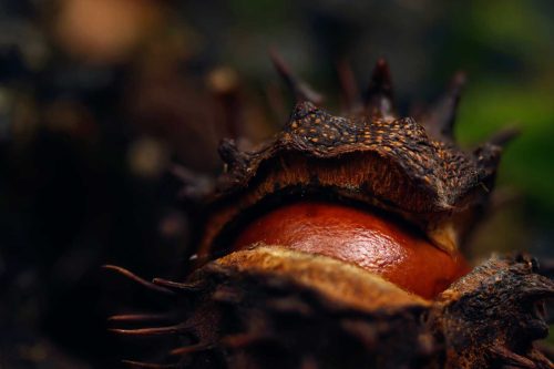 Tony Melling-Conker