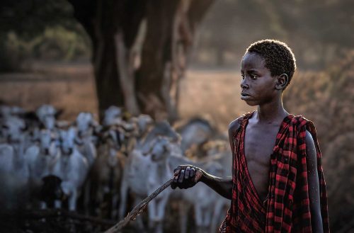 Alan Walker-Young-Masai-Goatherd