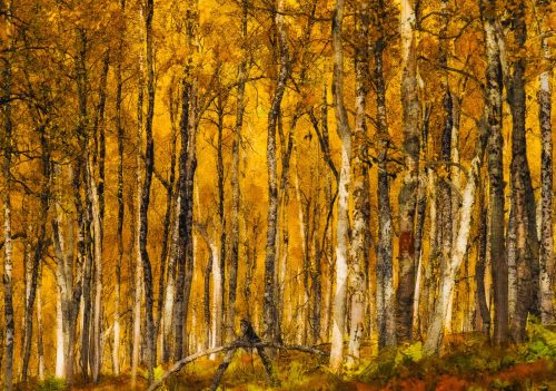 Richard Jakobson-Autumn-Colour