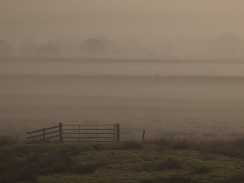Horning Dawning by David Rayment
