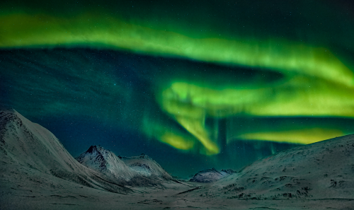Lofoten Aurora by Alan Walker