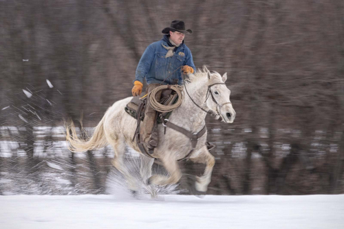 At-Full-Gallop by Julie Walker
