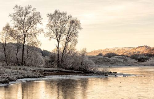 Frosty-Morning by Julie Walker