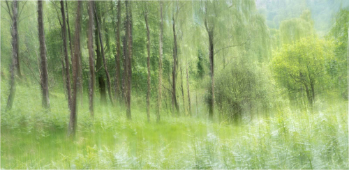Early-summer-in-Borrowdale by Ken Rennie