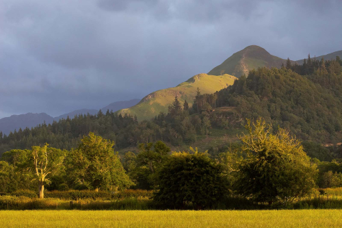 Evening-light-on-Cat-Bells by Tony Marsh