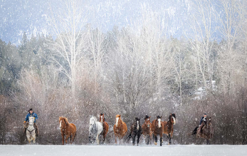 People-other-Winter-Round-Up by Alan Walker