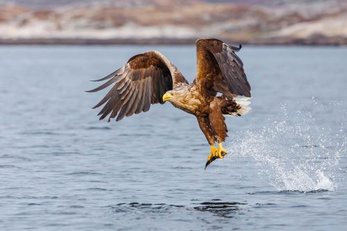 Fishing-Success by Keith Snell
