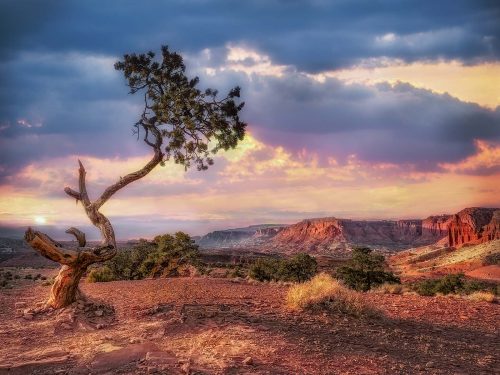 Sunset-over-Capital-Reef by Alan Walker