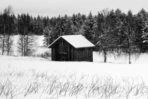 Finnish-Field-Barn by Tony Marsh