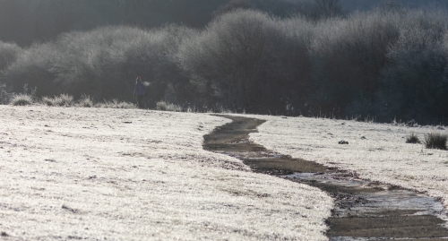 Frosty-Walk by Tony Marsh