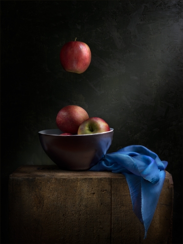 Gravity by Jo Knight
