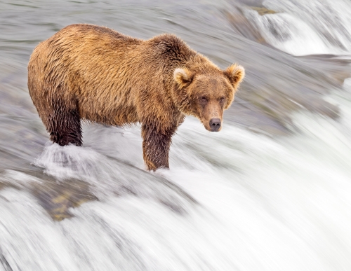 Holding-the-falls By Simon Roberts