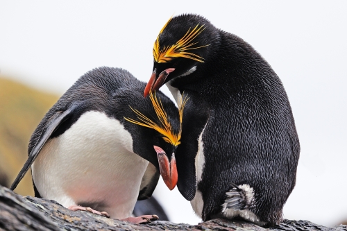 Please-Dont-Go by Keith Snell