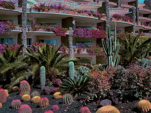 Vibrant-garden by Philip Cartwright