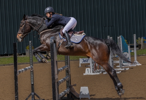 Clear-Round by Tom Stenhouse