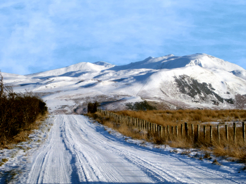 I'll Take the High Road by Philip Cartwright