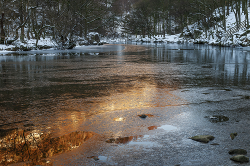 In the bleak mid winter by Ted Jordan