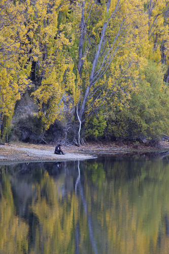 Solitary Man by Tricia Rayment