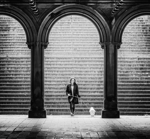 Walking the Dog by Alan Walker