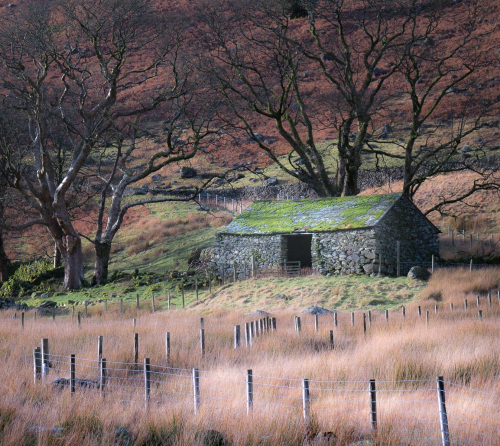 Away in a Manger by Barbara Rowland
