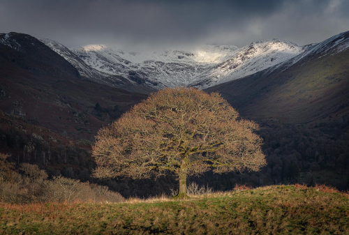 One Tree Hill by Chris Burgess