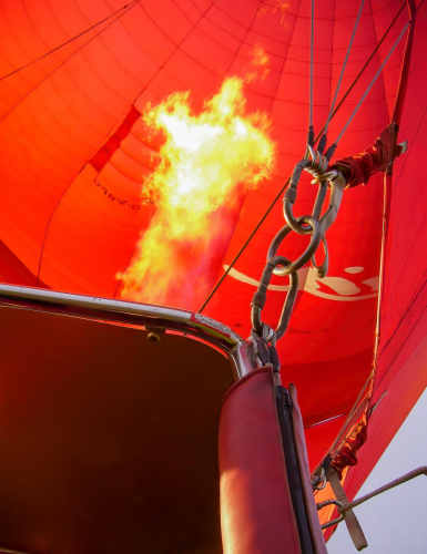 Up, Up and Away by Barbara Rowland