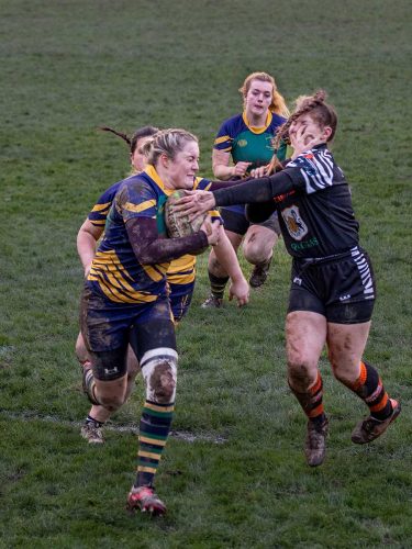 David Woodthorpe-Face-off